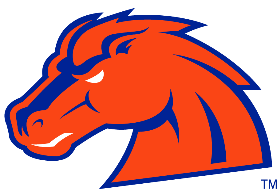 Boise State Broncos 2002-2012 Secondary Logo v14 diy DTF decal sticker